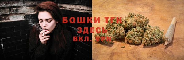 индика Верея