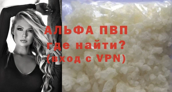 индика Верея