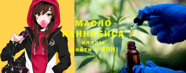 индика Верея