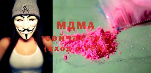 индика Верея