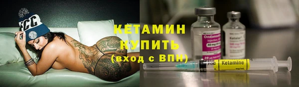 прущие грибы Волосово