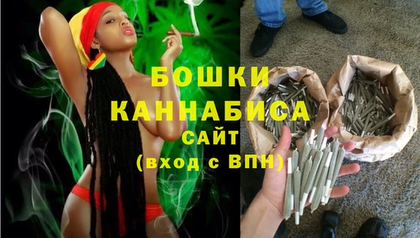 прущие грибы Волосово