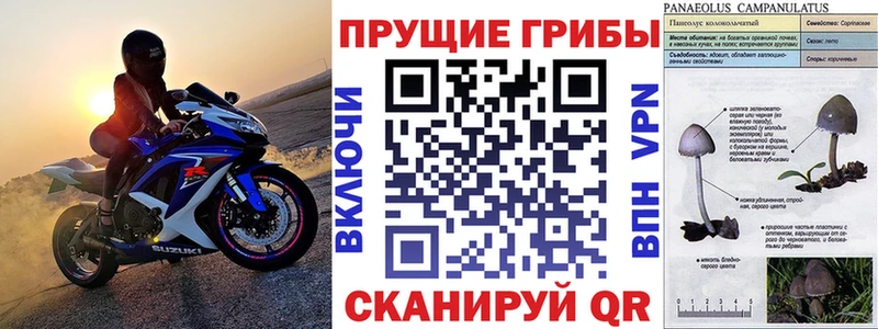 Купить  Кулебаки  Галлюциногенные грибы прущие грибы 